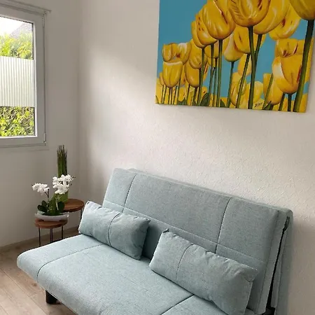Lovely Lodge A Close To Beach, Amsterdam, Bulbs, Near Trainstation *